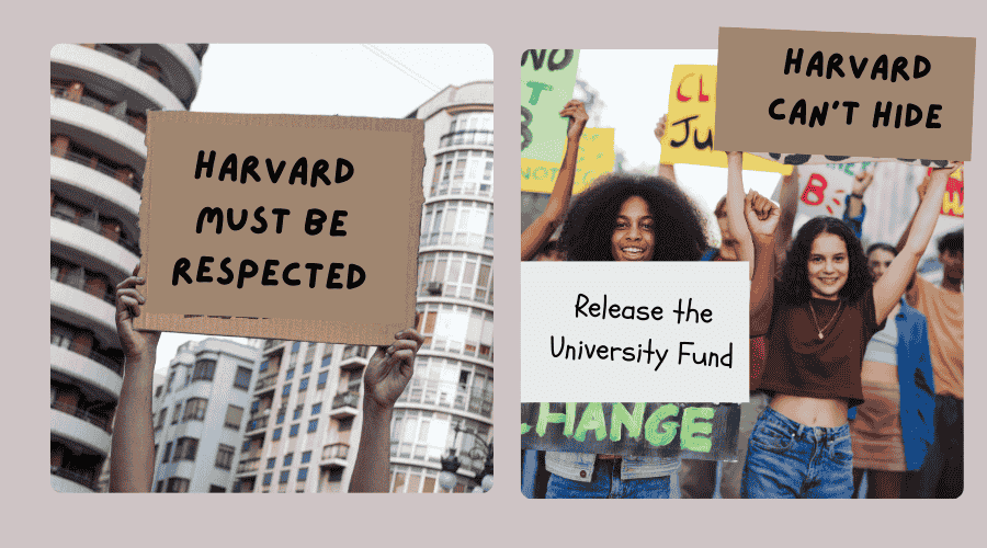 Harvard Students and Faculty Applaud Defiant Stand Against Trump Administration’s Demands