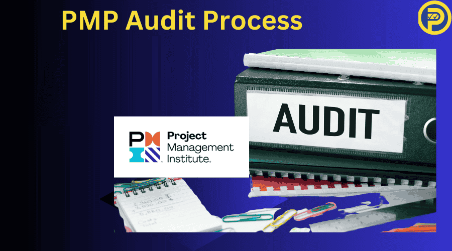 PMI Audit Process