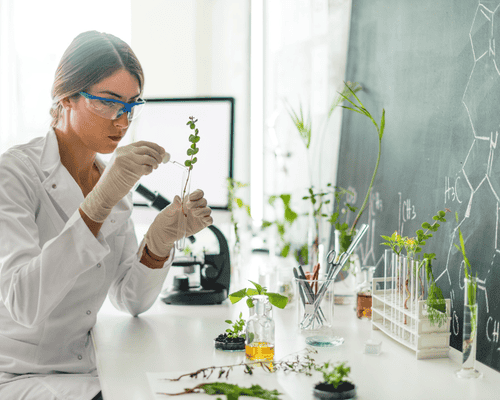 A Biology student conducting an experiment 